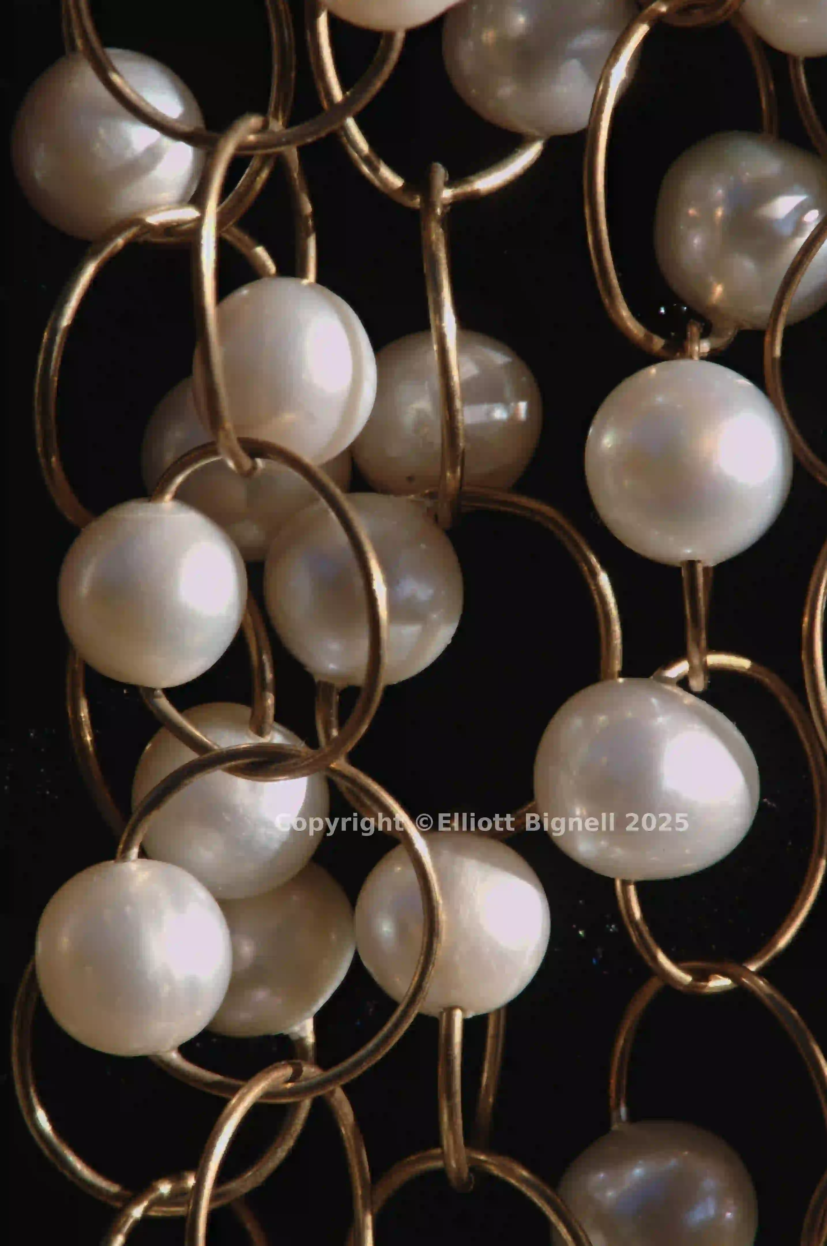 2013-11-12-22.01.16 ZS PMax.jpg